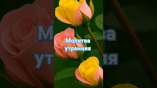 Молитва Утренняя #молитва #бог #доброеутро #божья #сдобрымутром #библия #доброгоутраихорошегодня