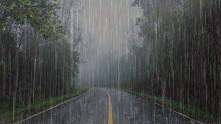 Lluvia Relajante Para Dormir y Relajarse en 3 Minutos - Sonido de Lluvia en el Selva Tropical - ASMR