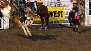 Broncs won't step on ya..." Baxter Black for The Cowboy Channel and Rodeo!