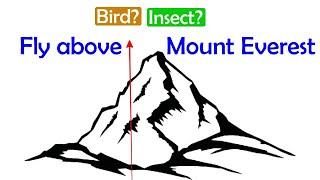 Fly above Mount Everest : Bird? Insect? Any Other? | Interesting Facts | Divyanshu Classes