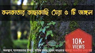 Top 5 Forests Near kolkata || Weekend Destinations Near Kolkata || Offbeat Destinations Near Kolkata