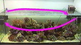 Historic video [1999]: TUNZE® Aquarientechnik: Le brassage en aquarium [Français]