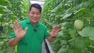 SMART FARMING AT FARM TOURISM ANG BUKID AMARA, ANG GANDA-GANDA #gardening #agriculture #farming