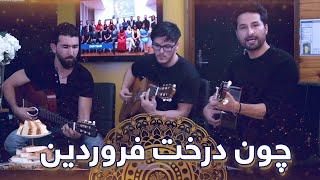 چون درخت فروردین | Darakhte Farwardin  | NEW AFGHAN SONG - #ahmadzaher  #احمدظاهر