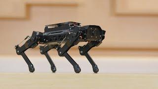 Hiwonder PuppyPi Quadruped Robot with AI Vision Powered by Raspberry Pi ROS Open Source Robot Dog