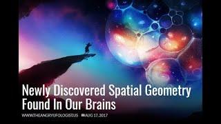 Newly Discovered Spatial Geometry Found In Our Brains. | AUDIO PODBIT | 8 mins