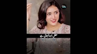 Sahar Hashmi Interview #trending #viralvideo #shorts #shortvideo #short #video #love #reels #funny