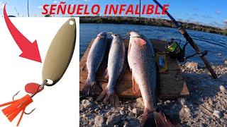  SEÑUELO IRRESISTIBLE//CUCHARA de PESCA