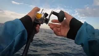 Fishing Durban - Offshore - Trolling - Slow Jigging - Dropshot