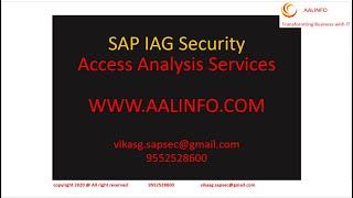 SAP IAG Access Analysis Services