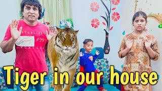 Tiger in our house | comedy video | funny video | Prabhu sarala lifestyle