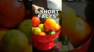 Daily facts worth - top 5 secret 239* #shorts #facts