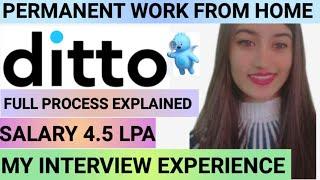 DITTO INSURANCE ADVISOR JOB | My Personal Experience / Work from home|All Interview Stages Explained