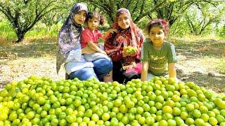 village lifestyle | daily routine of nomad women in Iranian village life |nomadic village lifestyle