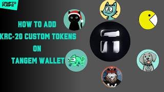 HOW TO ADD CUSTOM KASPA KRC-20 TOKENS ON YOUR TANGEM WALLET