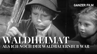Als ich noch der Waldbauernbub war, 1963 | Ganzer Film | HeimatfilmeTV