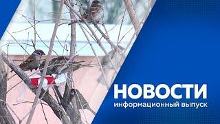 новости  010224