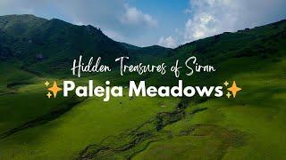 The Breathtaking Landscapes of Paleja Meadows, Pakistan