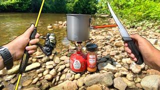 Eating ONLY What I Catch for 24 Hours (Creek Fishing)