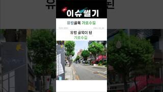 가로수길, 왜 유령골목 됐을까? 애플만 남았다… #이슈썰기 #사회썰 #유령골목 #가로수길 #애플스토어