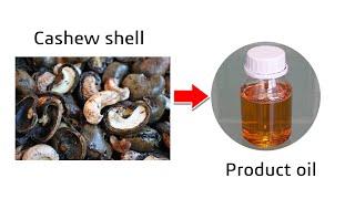 cardanol cashew shell husk oil press machine