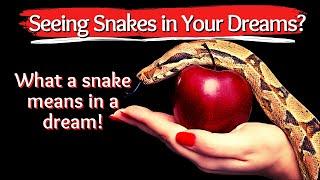 What a Snake Means in a Dream/Biblical Dream Interpretation!