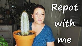 Repot with me | February 2020