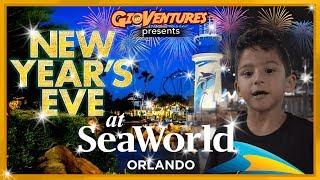 New Year's Eve Celebration at SeaWorld Orlando - New Years 2019