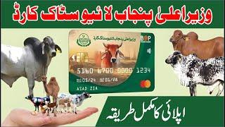 Livestock Card Punjab || How to Apply for Chief Minister Punjab Livestock Card