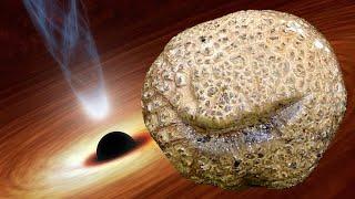 A black hole and dark matter inside a Common Earthball (Scleroderma citrinum)