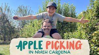 Apple Picking and Camping Trip in Hendersonville, NC
