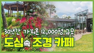 중부지역 최고의 민간정원 "공간" 30년간 가꿔온 12,000평 규모의 도심 속 조경 카페베이커리 15종의 다양한 수국과 야생화, 탄성이 절로 나는 소나무 정원[청주 공간조경]