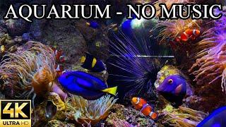 Finding Nemo and Dory Dream AQUARIUM 4K Coral Reef NO Music NO Ads | Aquarium Sounds For Sleeping