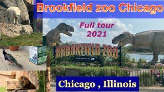 Brookfield zoo || Brookfield zoo Chicago || Chicago zoo