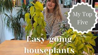 My Top 5 EASY-CARE houseplants  Plants that want to thrive!