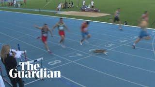 Stray cat sprints across finish line during 100m race in Turkey