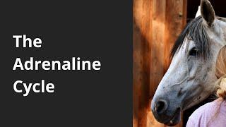 The adrenaline cycle & magnesium deficiency in horses