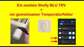 Shelly BLU TRV + Shelly BLU H&T: Zwei Heizkörper über einen externen Temperatursensor führen