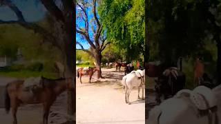 Las Sierras de Córdoba son hermosas, Capilla del Monte tiene su propia magia, su atracción.