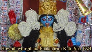 Phalaharini Kali Puja 2024 | Howrah Murgihata Byabsahi Samiti Phalaharini Kali Puja 2024