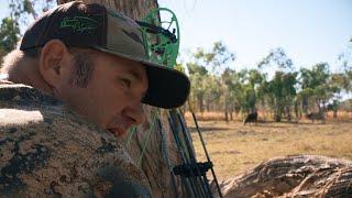 A BUNCH OF BULL - Pigman Helps a Rancher Take Out WILD Scrub Bulls in Remote Queensland AUSTRALIA.