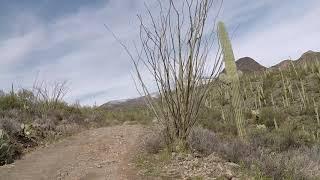 Spur Cross Ranch -- DragonFly Trail