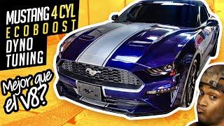 MUSTANG ECOBOOST ¿Vale la Pena? Tuning en Dyno + COMPARATIVA vs V8 - Intake, Escape e Intercooler