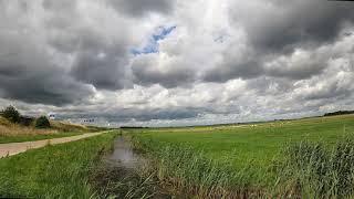 Can you also watch it forever? Look at the sheep! #timelapse