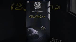 Surah Al Nisa || سورۃ النساء || tilawat e Quran || recitation of Al Quran || #quran #tilawat #voice