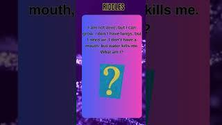 Riddle | Riddles in English | riddles with Answer | Logical riddles | Hard riddles | Puzzle Palace