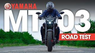 2021 Yamaha MT-03 Review! (Euro 5)