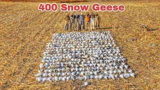 CRAZY 8 Man Limit Snow Goose Hunting in South Dakota!! (400 Birds)