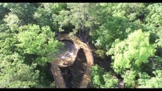 Bob Wheeler Science Skywalk Flyover