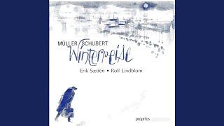 Winterreise, Op. 89, D. 911: No. 9, Irrlicht